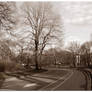 Central Park walkway