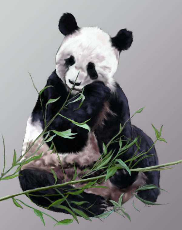 Panda