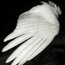 Ptarmigan Wing 6