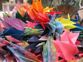 Paper Cranes