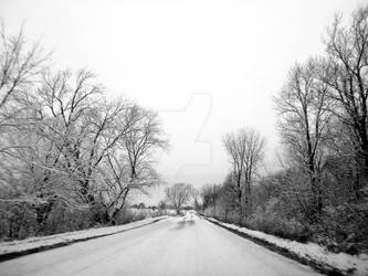 Snowy Dirt Road