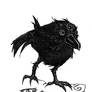 The Three Eyed Crow