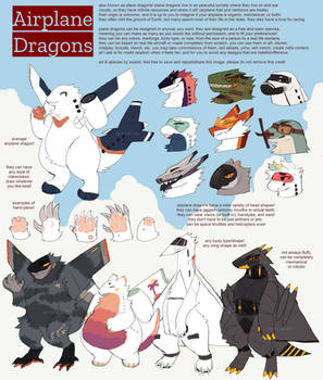 Airplane Dragon Reference 2019