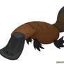 Duck Billed Platypus