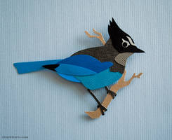 Steller's Jay Cut Out