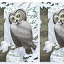 3D Great Grey Owl Crossview