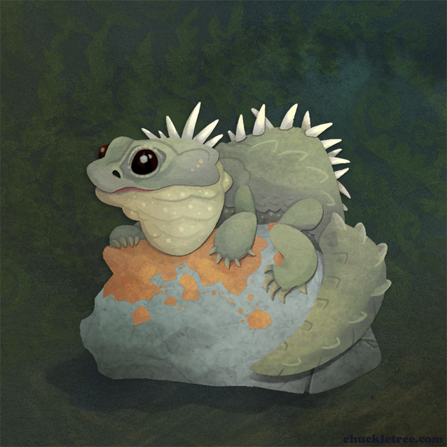 Tuatara