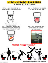 Toilet Use Guide