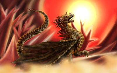 Golden Dragon - Crystal Background