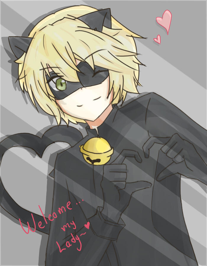 Chat Noir wallpaper by Sapphire240400 on DeviantArt