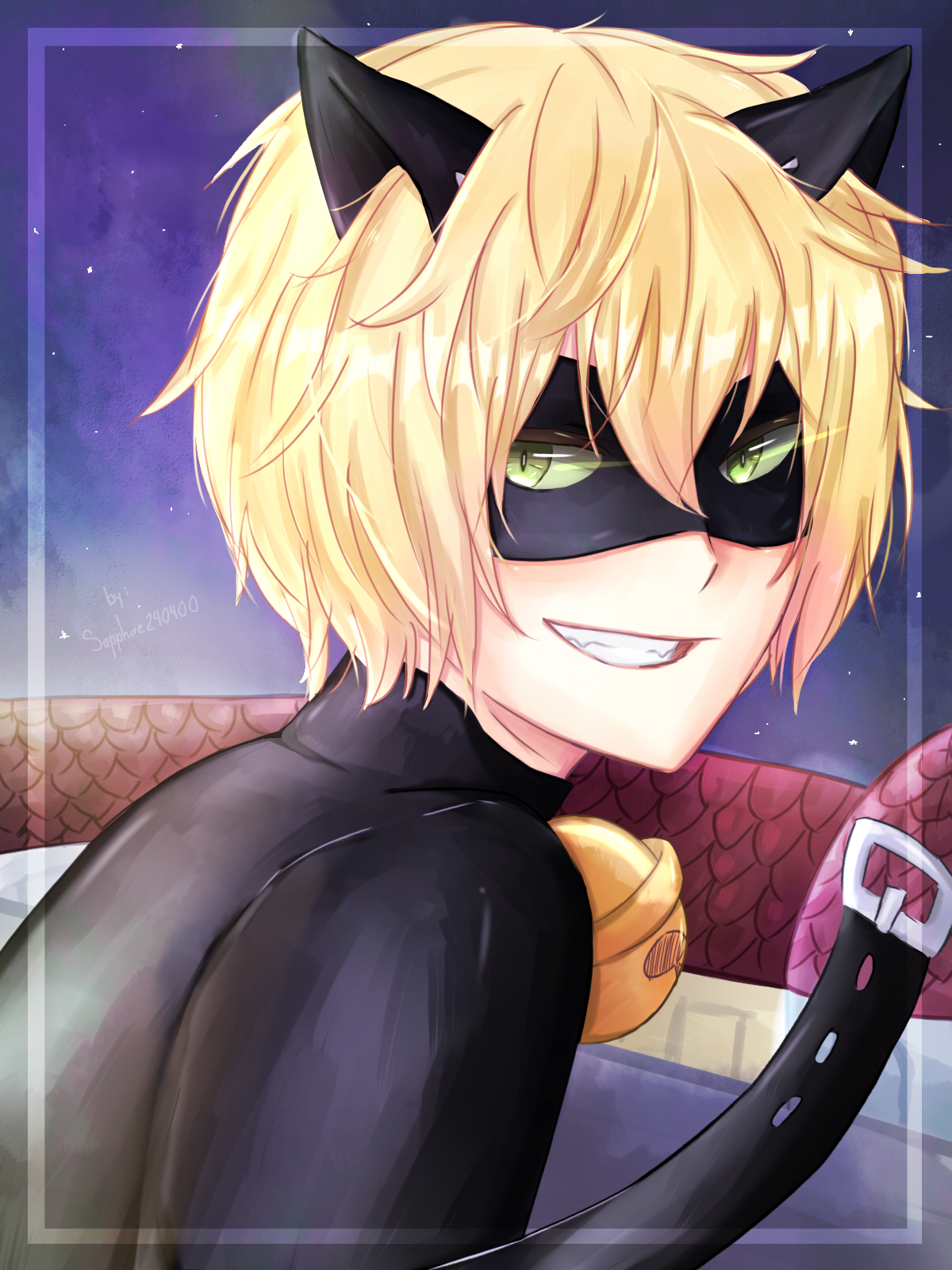 Chat Noir Miraculous