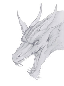 It's not wise to upset a Dragon.