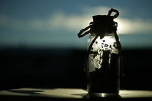 Wishes in a bottle