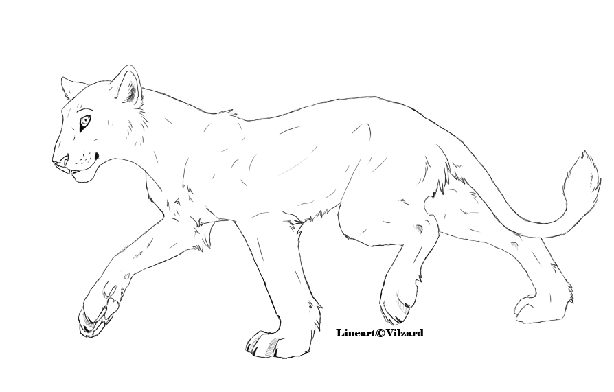 Free Lioness Lineart