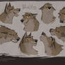 BALTO emotions