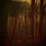 Echoes of unknown
