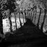 The Unspoken Corridor