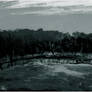 Static Petrichor