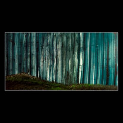 Teal Expanse