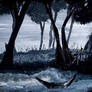The Quiet Refuge