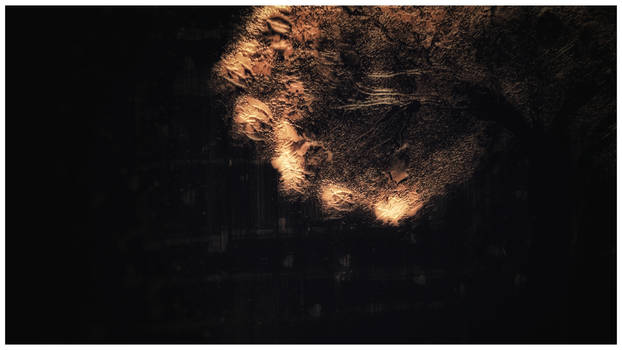 The Ignited Gleam