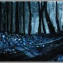 The Phosphorescent Path