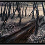 Scratched Light