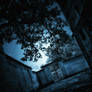 When Moonlight Spills Onto This Ground