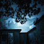 When Moonlight Spills Onto This Ground II