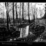 Autumn between Lehde and Leipe