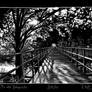 The old railway bridge