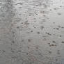 Rain 1