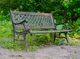 Park Stock 1