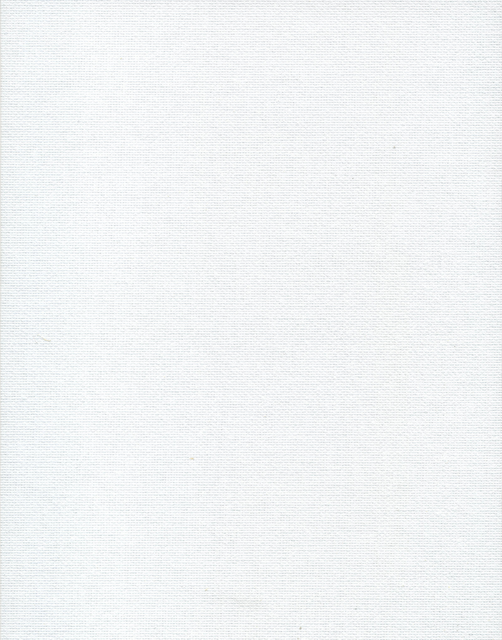 High Res Canvas Texture