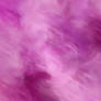 Spring Flower Texture 1