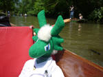 Punting at the River Cherwell by ggeudraco