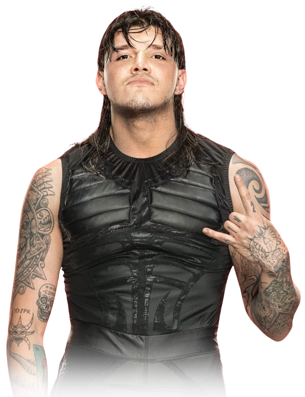 Dominik Mysterio RAW 2023 by WWEstarRENDER on DeviantArt