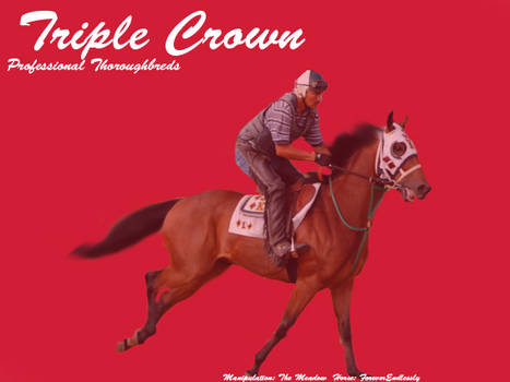 Triple Crown Player Picture