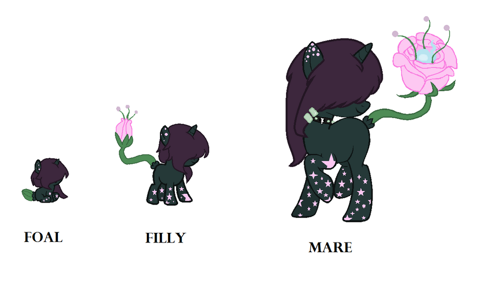 rose tail soul pony Age Chart by Sugiilite on DeviantArt