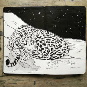 Leopard