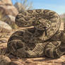 #rattlesnake - Bird Watching