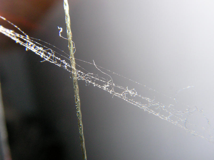 Spider Thread Handing Spider thread by Albinsson on DeviantArt