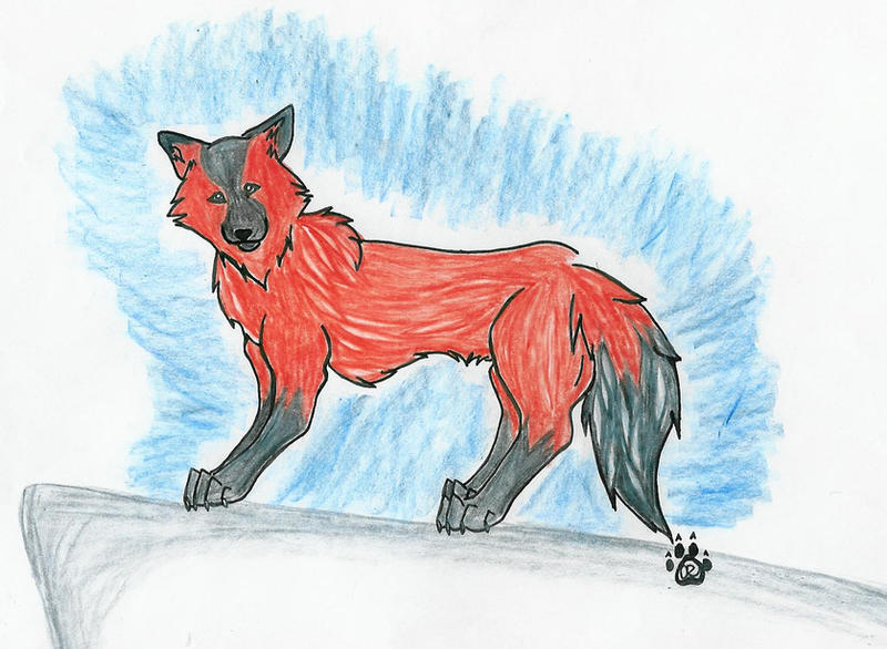 Bandit by tears-of-blood911 on DeviantArt