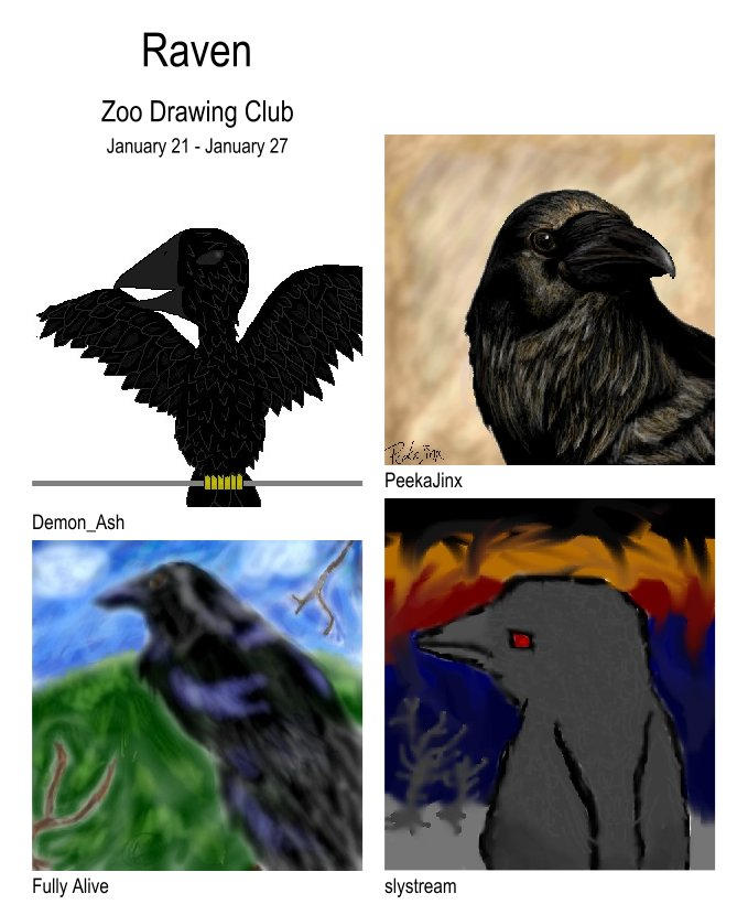 Zoo Raven by oekakicentral on DeviantArt