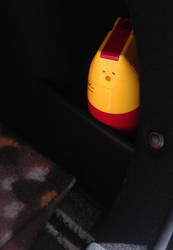 Little yellow kitty in my trunk!