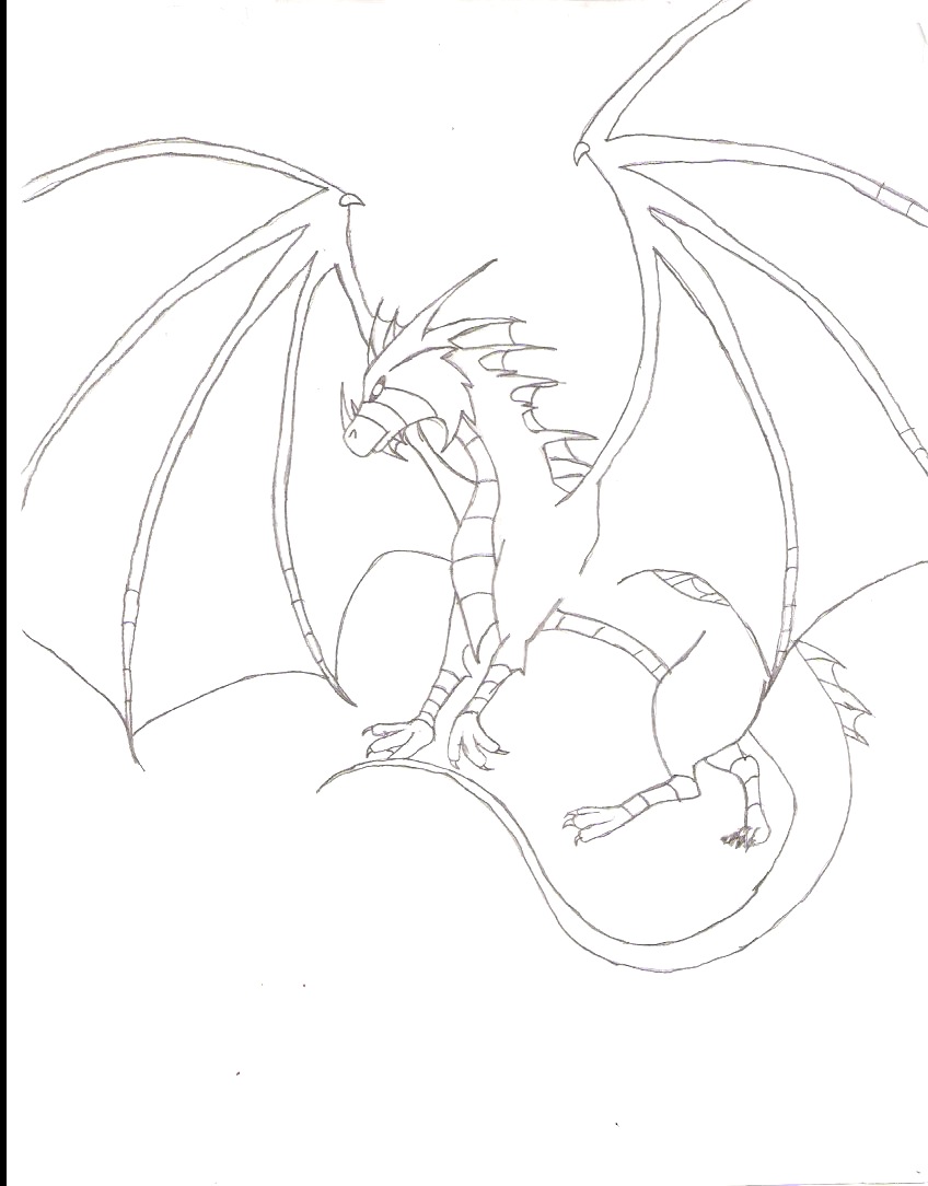 Dragon Sketch