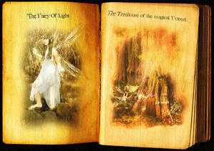 The aged book of fae