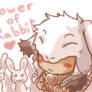 Power of rabbits