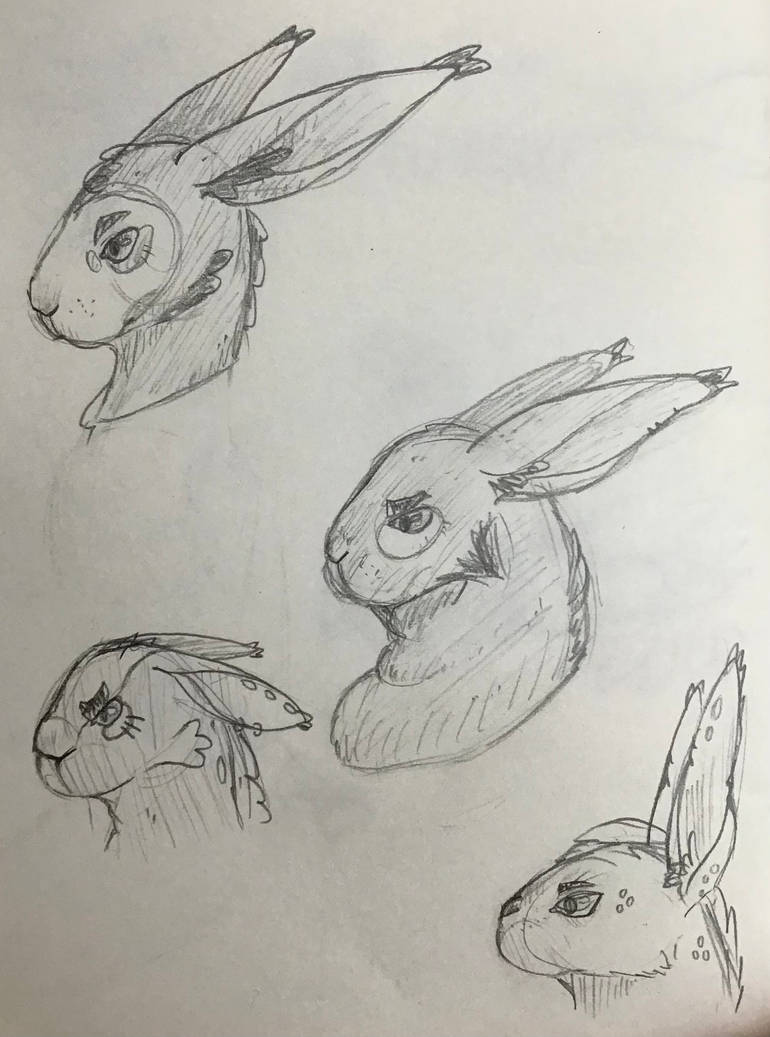 Rabbit character concept art / doodles by DragonTime365 on DeviantArt