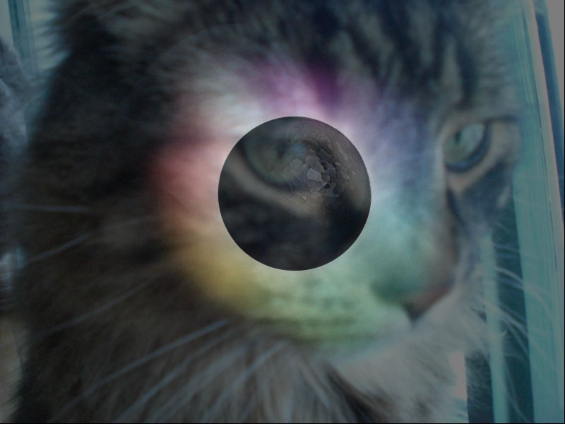 Eclipse Cat Series 3